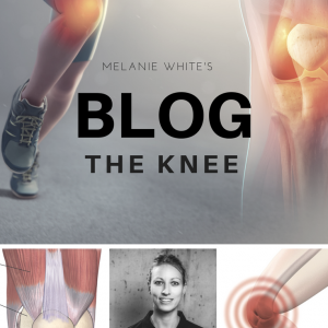 The Anatomy of The Knee